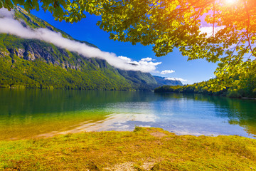 Colorful summer morning on the Bohinj lake in Triglav national p