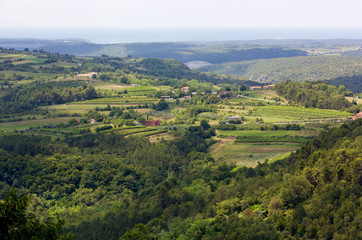 Fototapeta na wymiar Green Mediterranean landscape during summer in the Istrian peninsula, with the Adriatic sea in the background