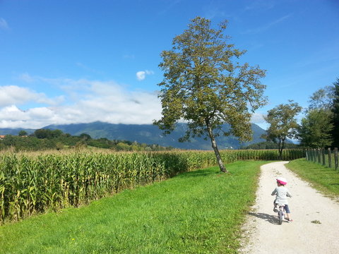 Bici