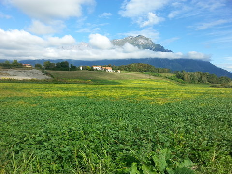 Paesaggio bellunese