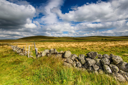 Plateau de l'Aubrac