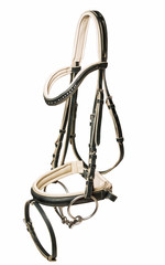 beautiful  bridle with bit isolated on white
