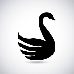 swan design