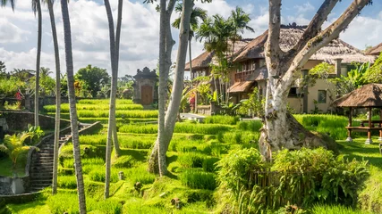 Wandcirkels aluminium View of countryside in Bali © jan_S
