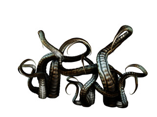 tentacles © lilith