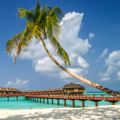 view of the coast of irufushi island with bungalows, maldives