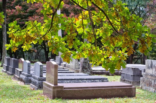Cemetery / graveyard in autumn