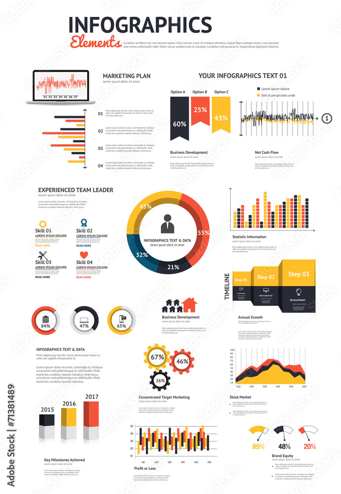 Canvas Prints big set of infographic elements