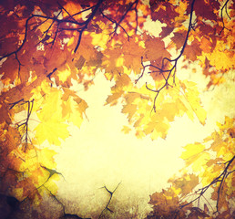 Abstract autumn border background with colorful leaves