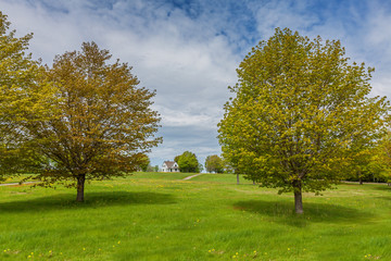 Country Landscape