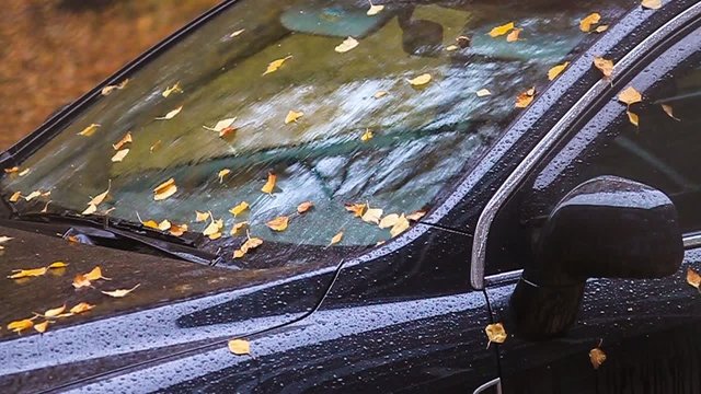 Car elements  (4 in 1)
