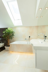 Fototapeta na wymiar Luxurious bathroom in the loft