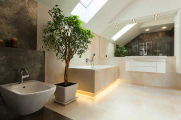 Interior of modern bathroom