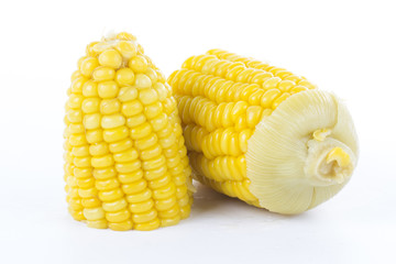 Fresh cook corn