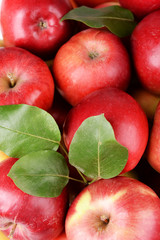 Ripe red apples close up