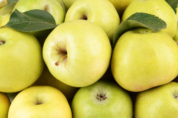 Ripe green apples close up