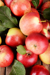 Ripe red apples on wooden background