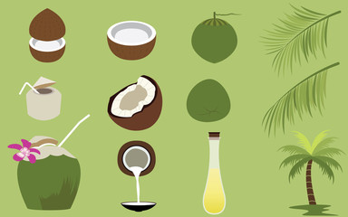 Set of many Products of Coconut Tropical Fruit Vectors