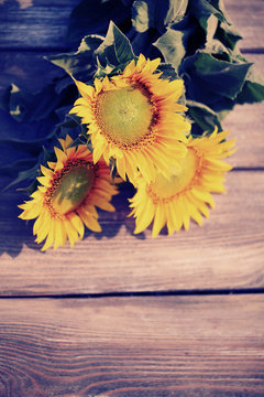 Beautiful sunflowers on table close-up