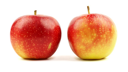 Red yellow apples isolated on white background