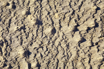 Sand ground texture on a autumn day.