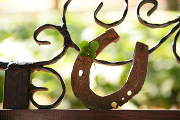 Old horse shoe with clover leaf, outdoors © Africa Studio