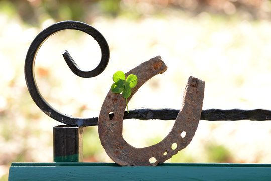 Old horse shoe with clover leaf, outdoors
