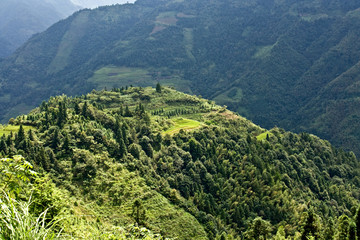 Obraz premium Rice terraces in the mountains.