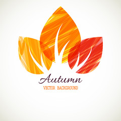Autumn leaves - 71389047