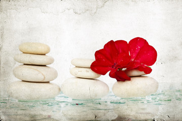 Spa stones and red flower