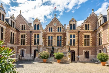 Foto op Canvas Old Town Hall in Orleans © milosk50