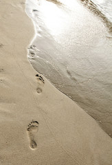 Fototapeta na wymiar Footsteps in the sand