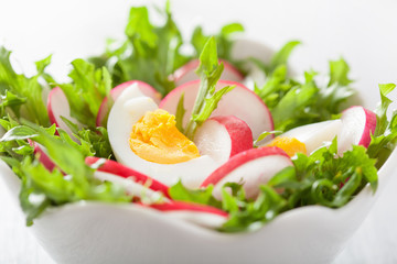 healthy salad with egg radish and green leaves