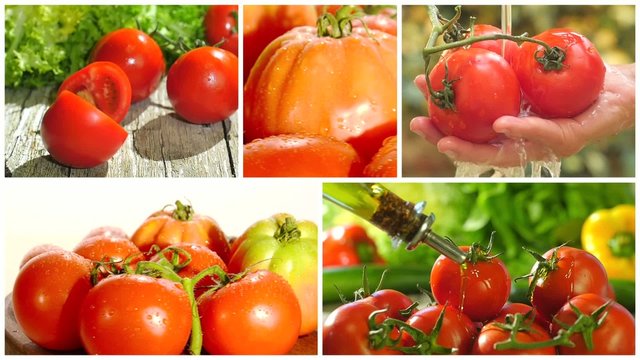 fresh tomatoes collage