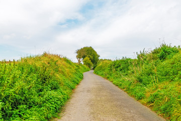 Fototapeta na wymiar Image showing a pathway between agricultural fields in October