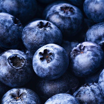 Fresh ripe blueberries close up