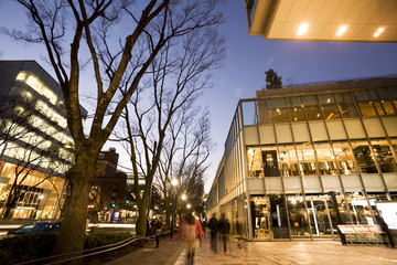 表参道の夜景