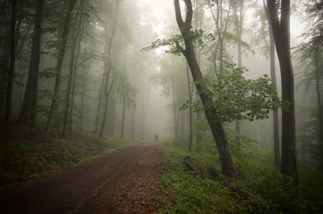 man walking through dark green forest