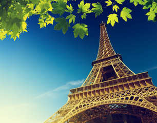 Fototapeta na wymiar Eiffel tower, Paris