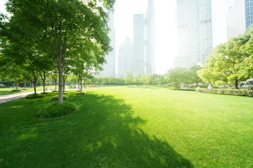park in  lujiazui financial centre, Shanghai, China