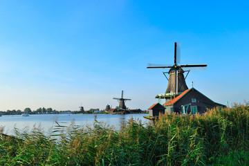 Fototapeta na wymiar Dutch windmills in summer