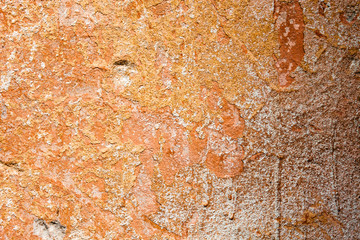 Concrete surface with the remains of orange paint and whitewash © rootstocks