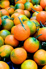Mandarinen - Clementinen