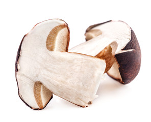 Two sliced forest mushrooms (Boletus badius)