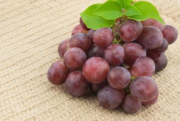 red grape on white background