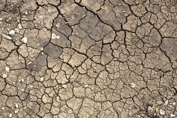 texture of cracked earth