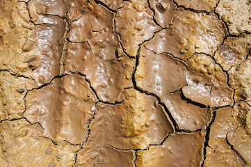 texture of cracked earth