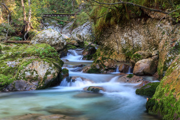 Mountain stream in the Lepena valley