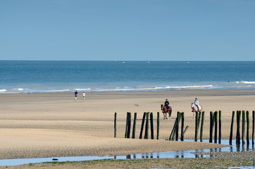 galop sur la plage