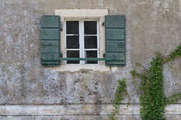 Fototapeta na wymiar Window with open green shutters and climbing vines. close-up